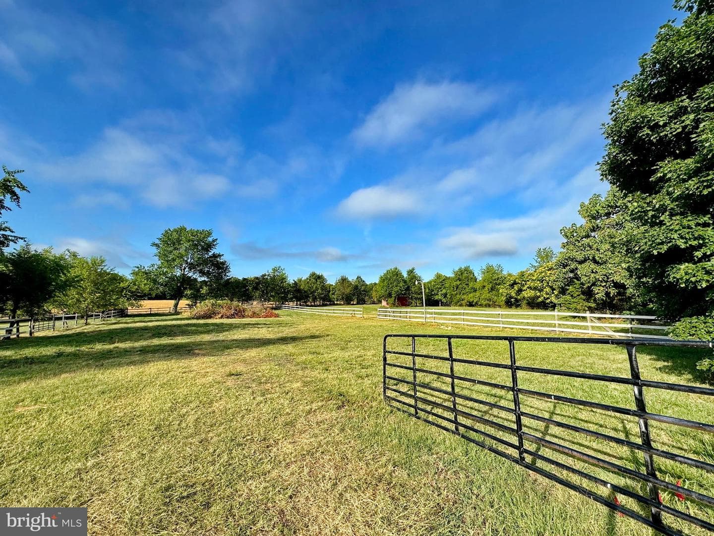 8530 Wedding Drive photo 28