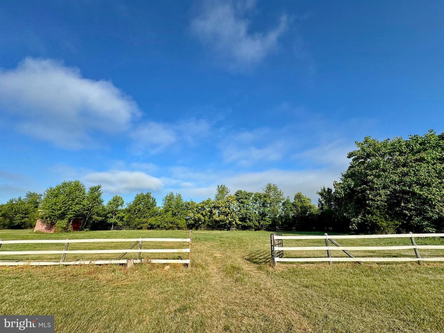 8530 Wedding Drive photo 31