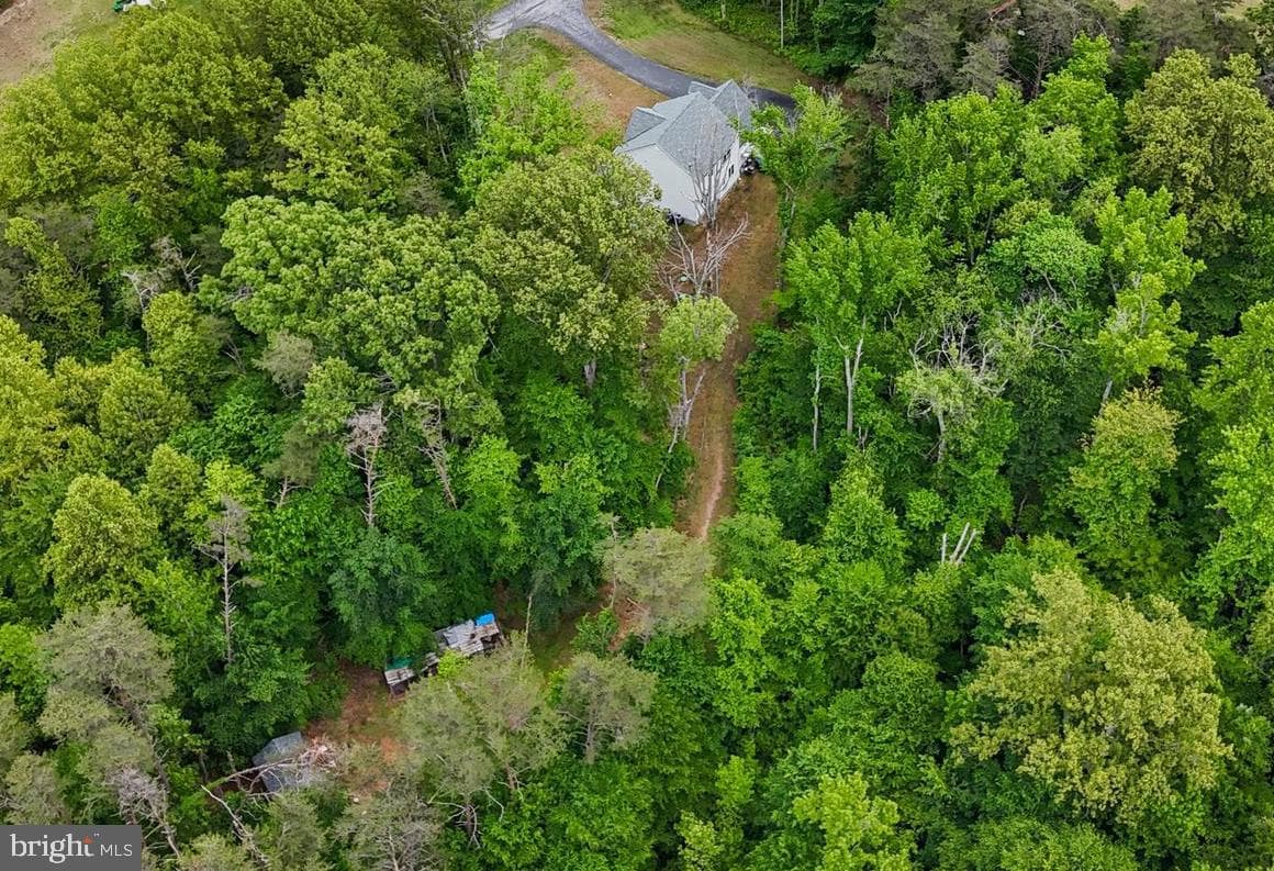 8055 Shannon Woods Place photo 42