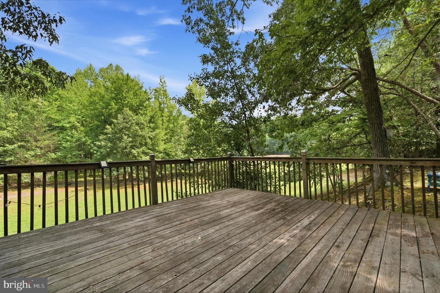 11630 Moonshine Trail Place photo 48