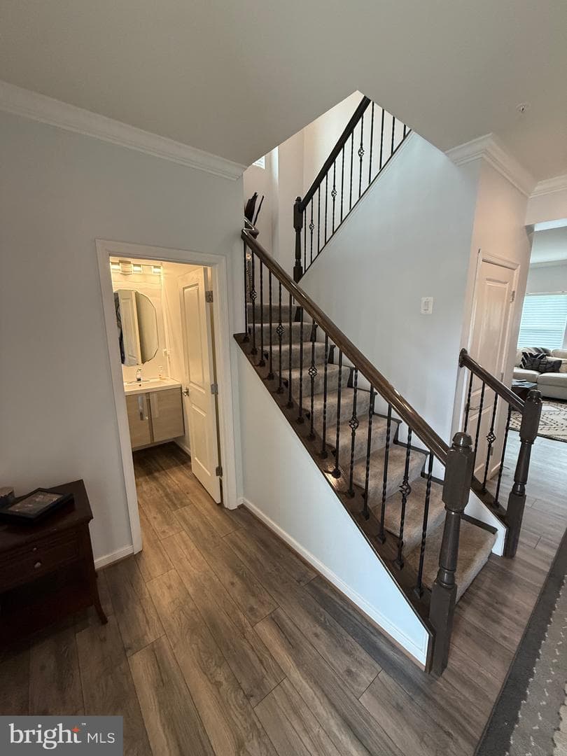 9831 Rhine Court photo 5