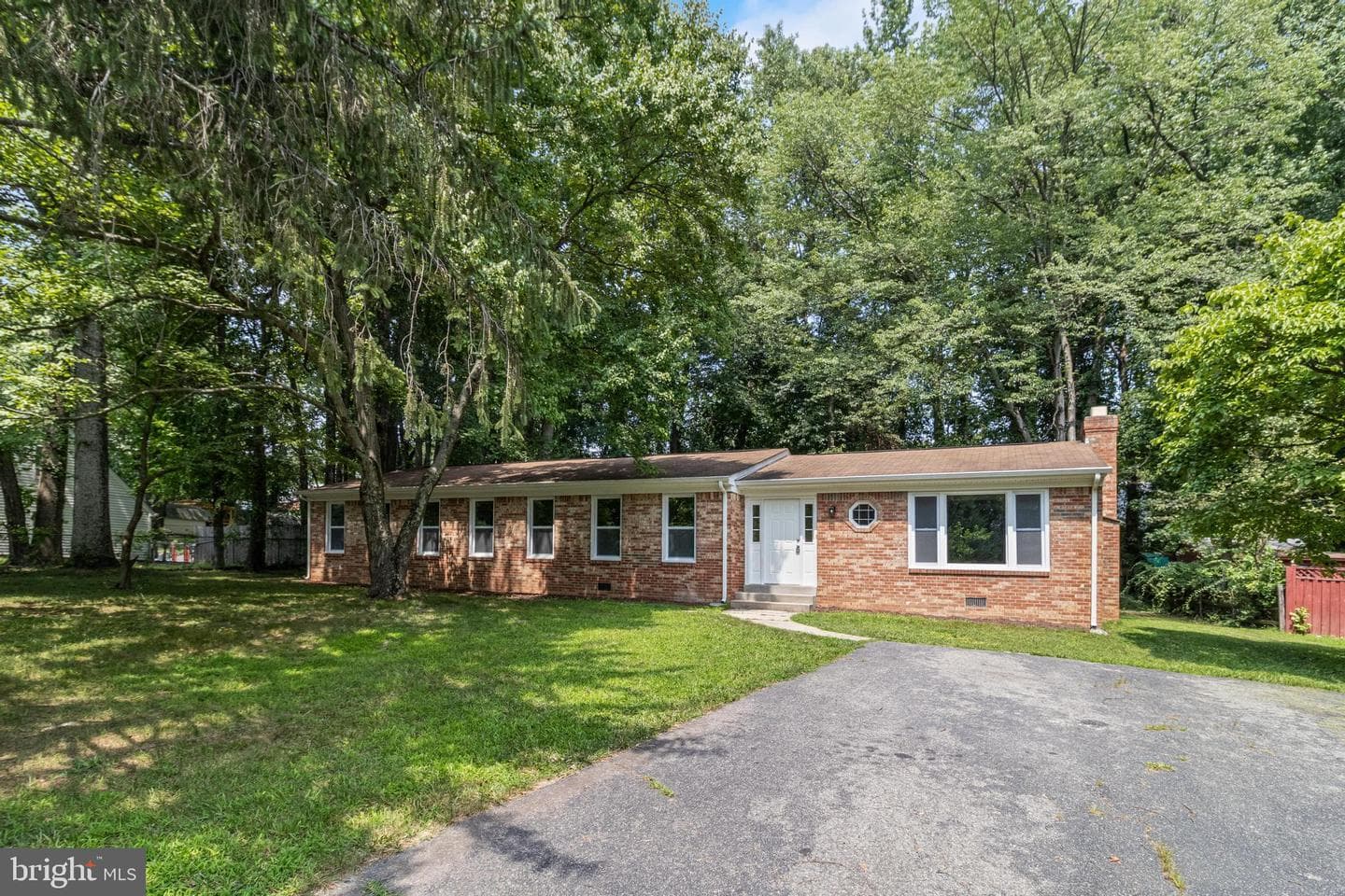 11516 Timberbrook Drive photo 3