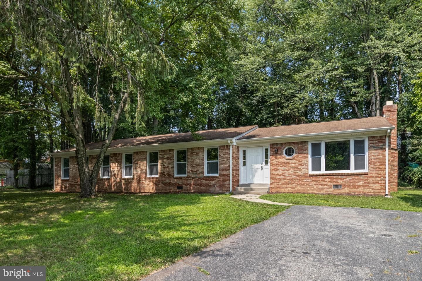 11516 Timberbrook Drive photo 4