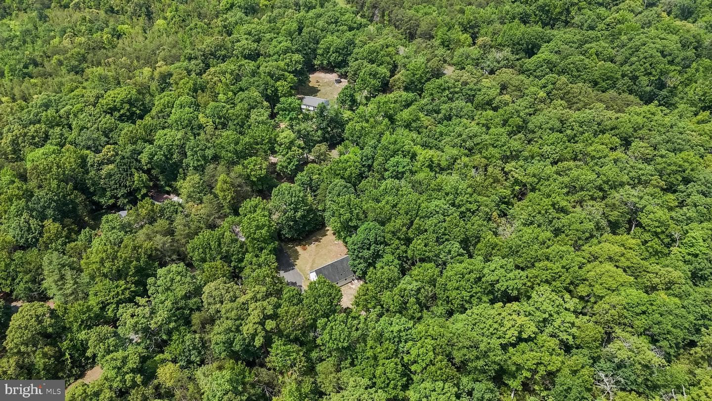 3160 Mazewood Place photo 41