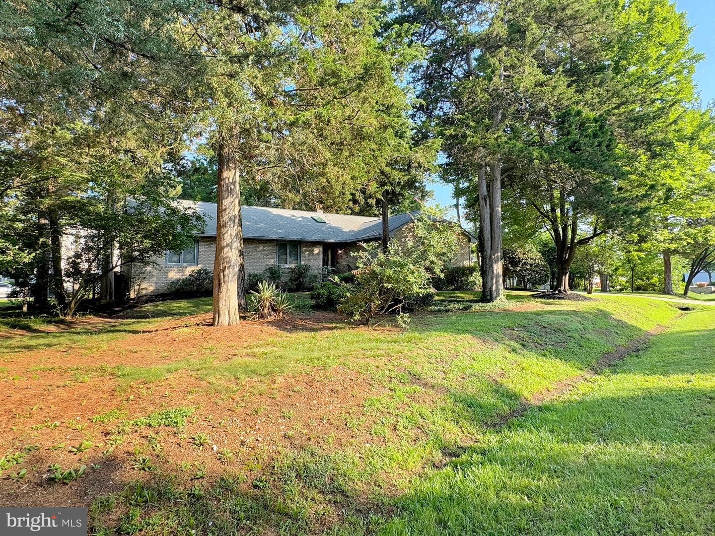 14495 Over Creek Drive photo 5