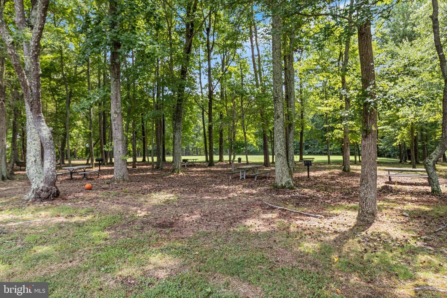 112 Bertha Circle photo 14