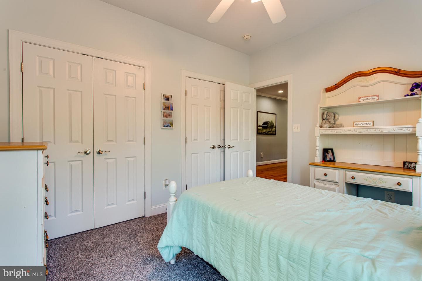 12120 Liberty Rose Place photo 43