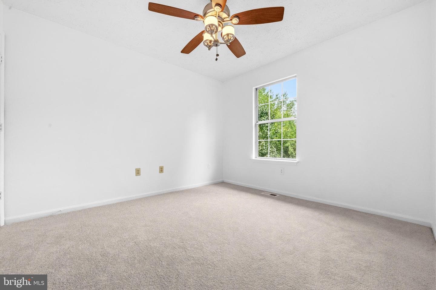 6825 Cologo Court photo 24