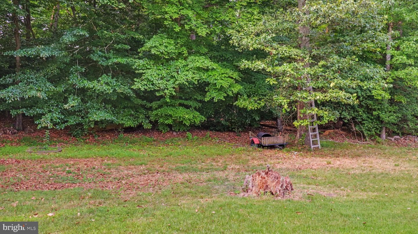 6875 Myers Drive photo 23