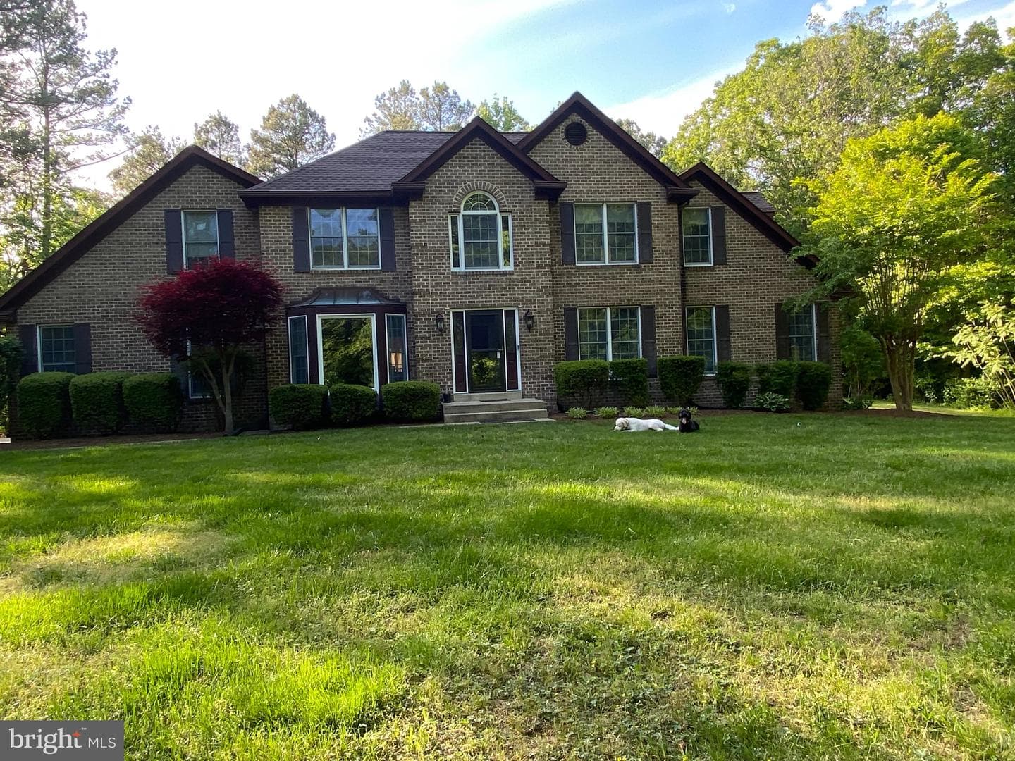 13550 Forest Place photo 1