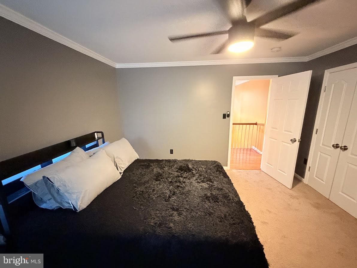 2148 Cedar Tree Lane photo 28