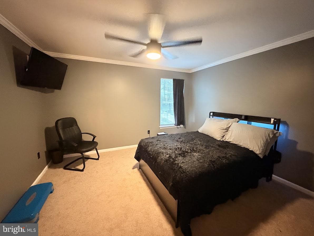 2148 Cedar Tree Lane photo 29