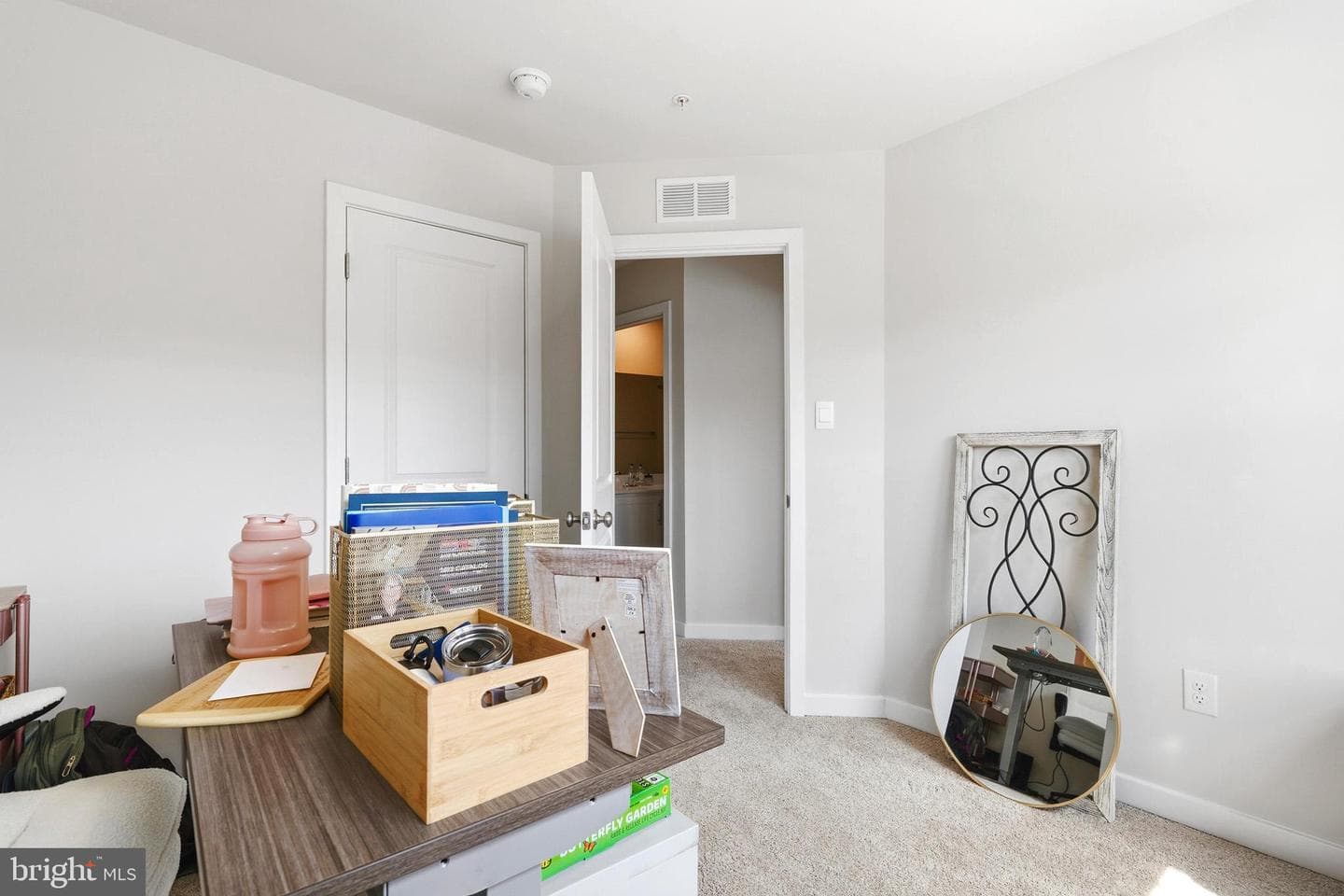 369 Soft Rush Lane photo 26