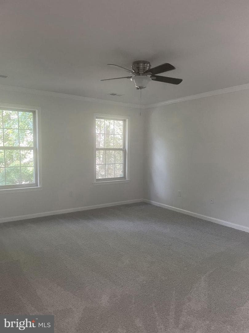 14645 Balsam Court photo 20
