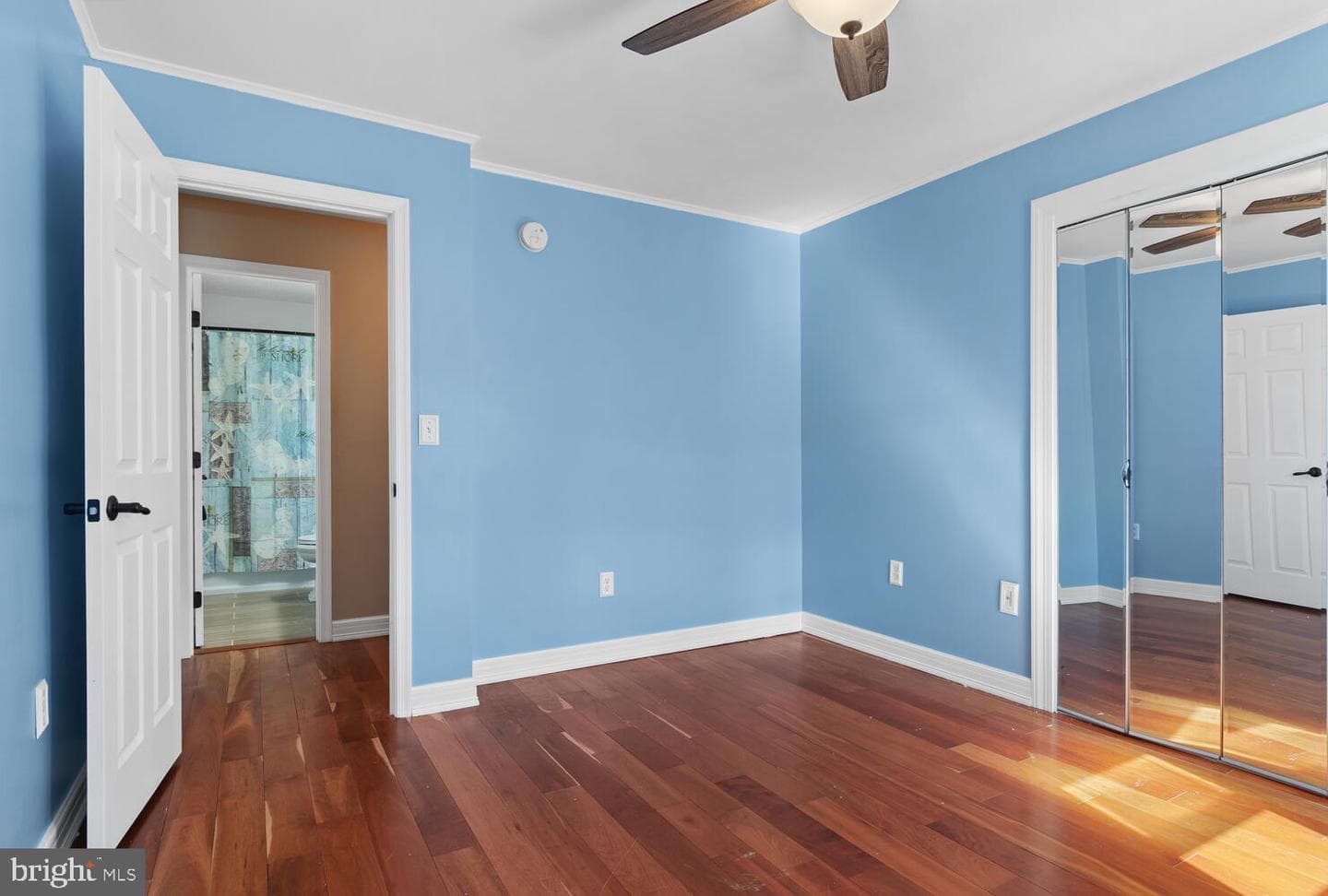 23079 Tuckahoe Springs Drive photo 41