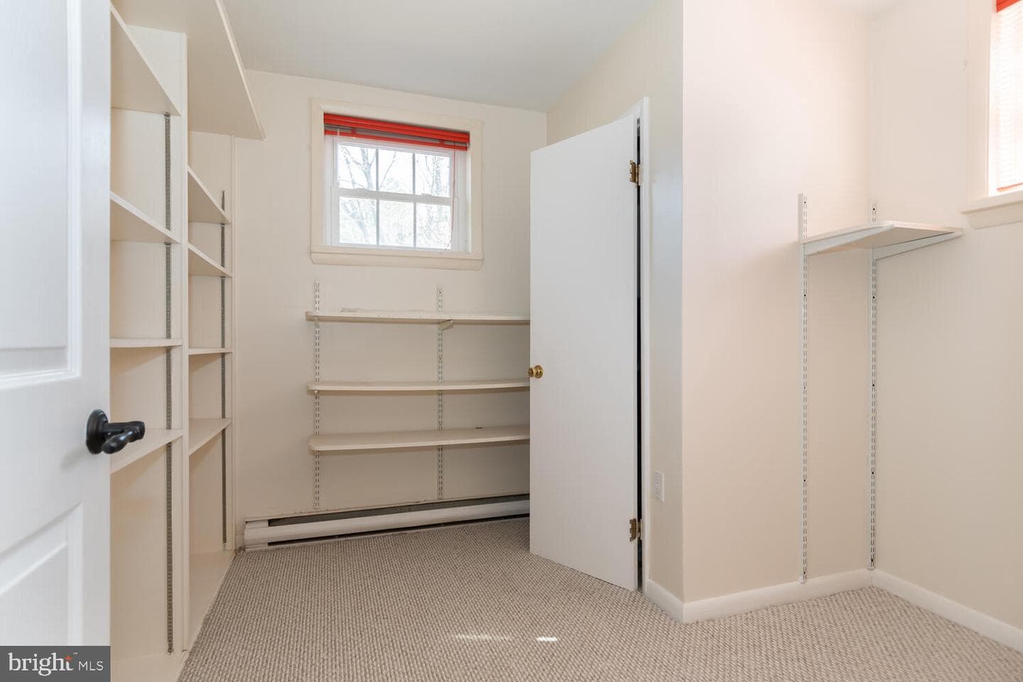 23079 Tuckahoe Springs Drive photo 58