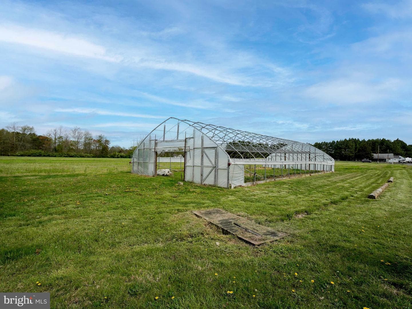 21719 Dover Bridge Road photo 15