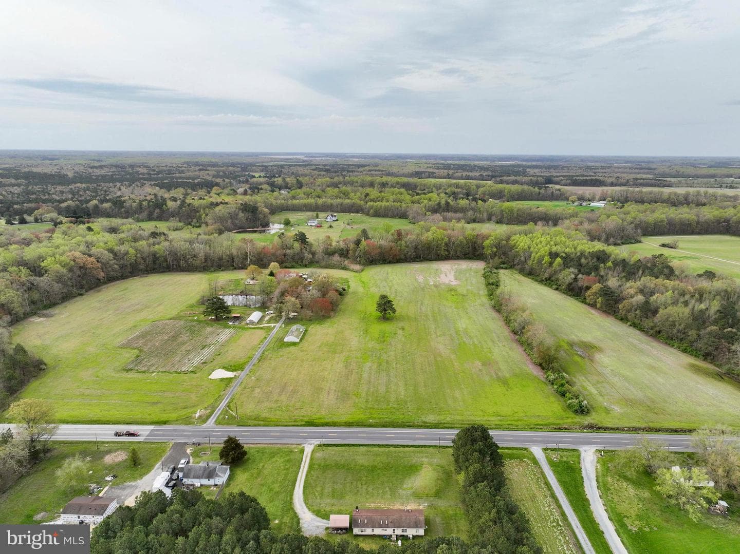 21719 Dover Bridge Road photo 3