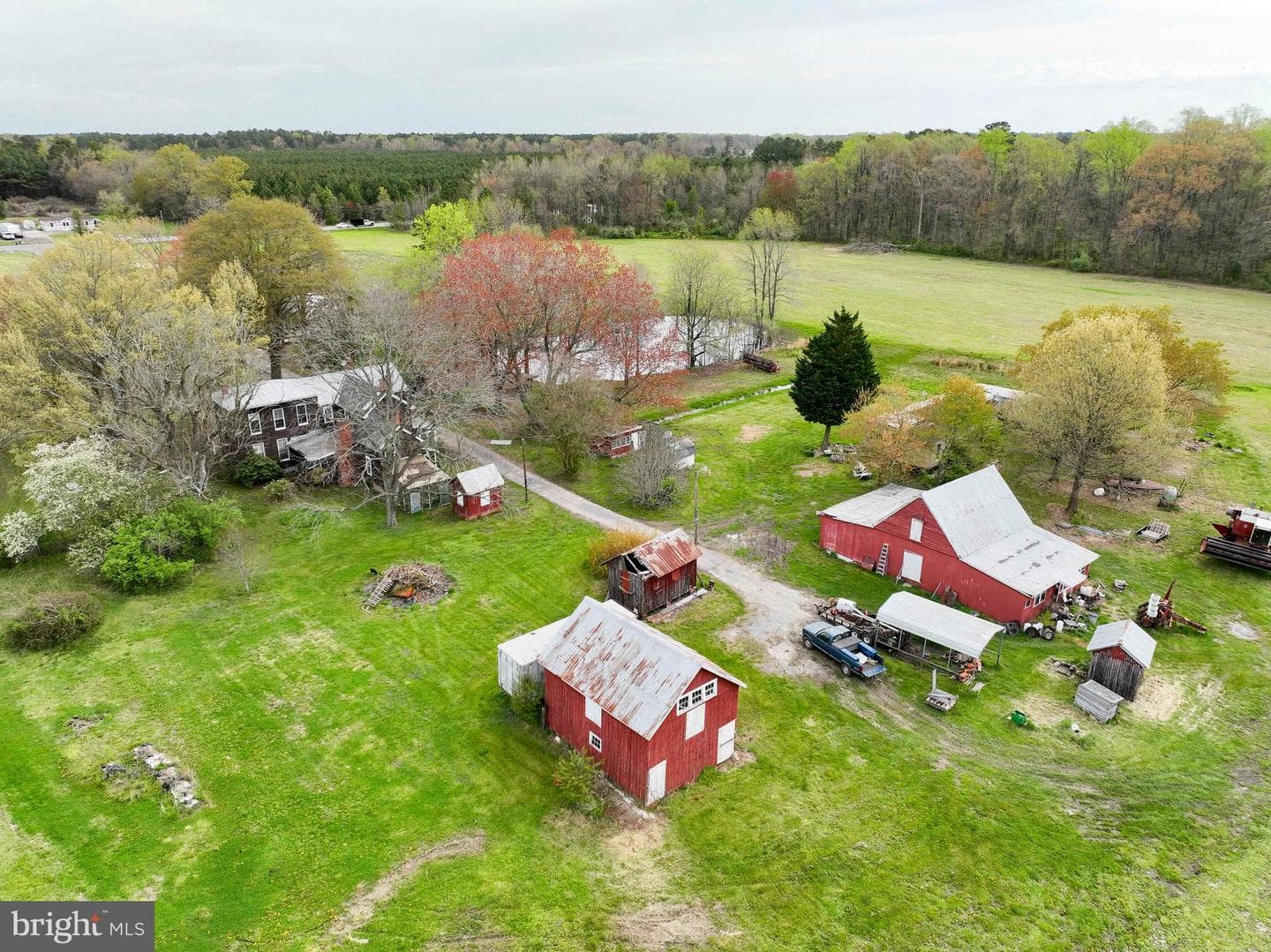21719 Dover Bridge Road photo 40