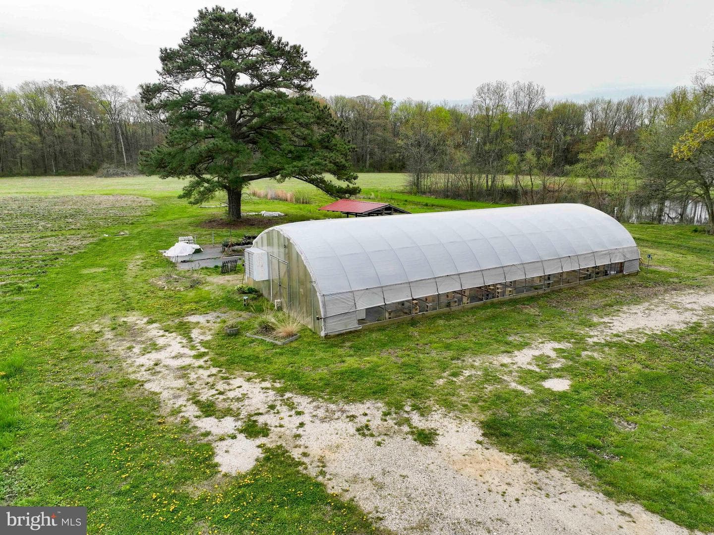 21719 Dover Bridge Road photo 44