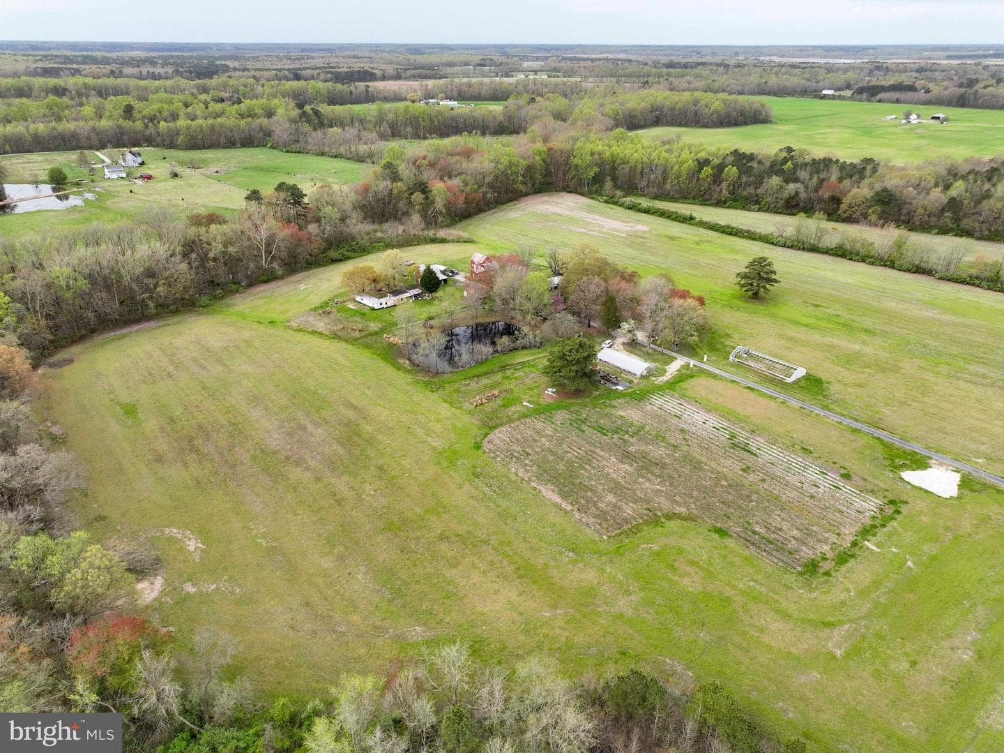 21719 Dover Bridge Road photo 47