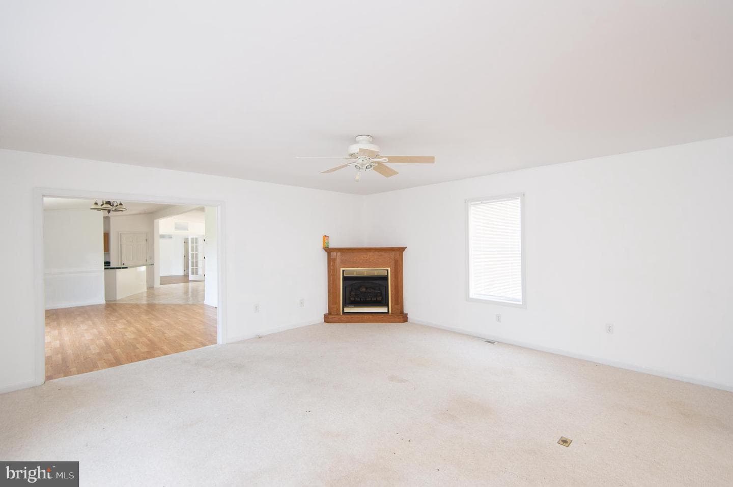 21303 Dover Bridge Road photo 26