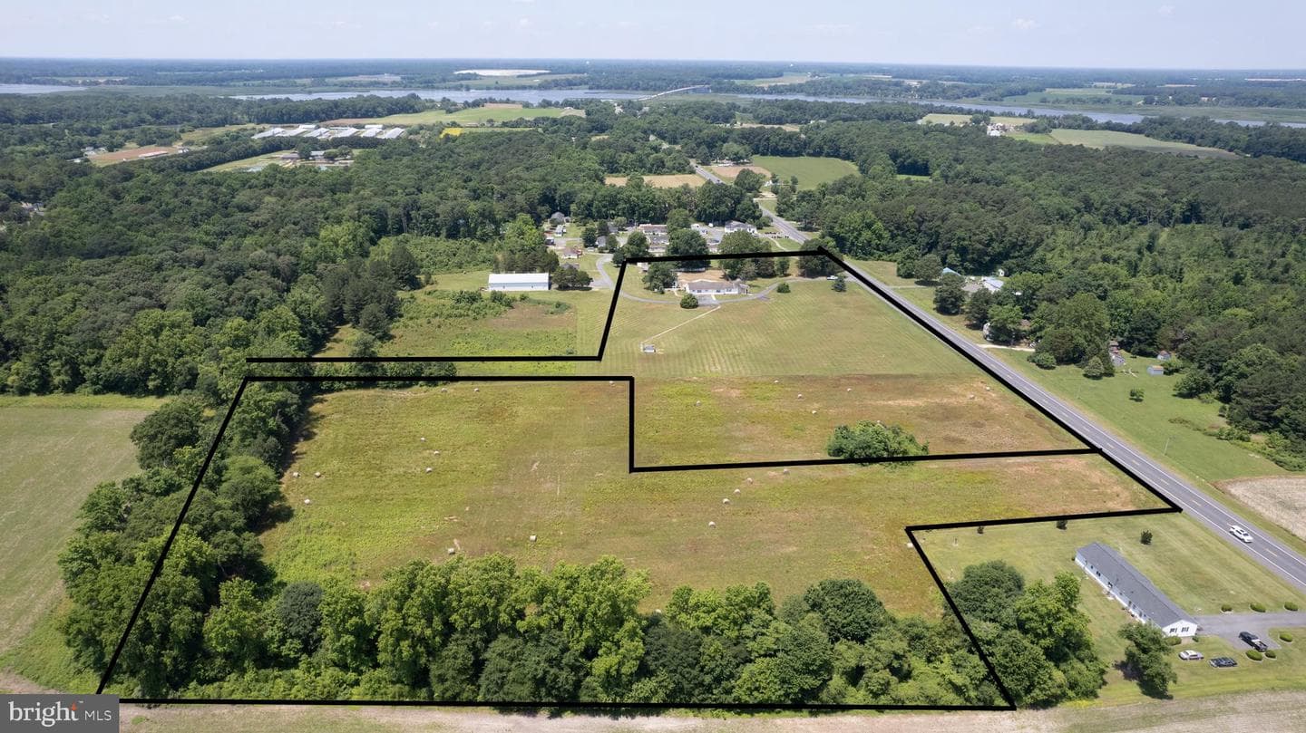 21303 Dover Bridge Road photo 36