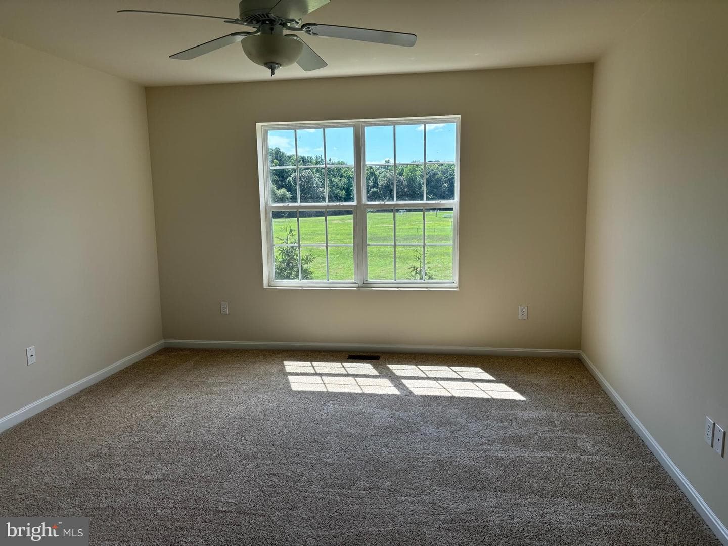 1200 Trice Meadows photo 10