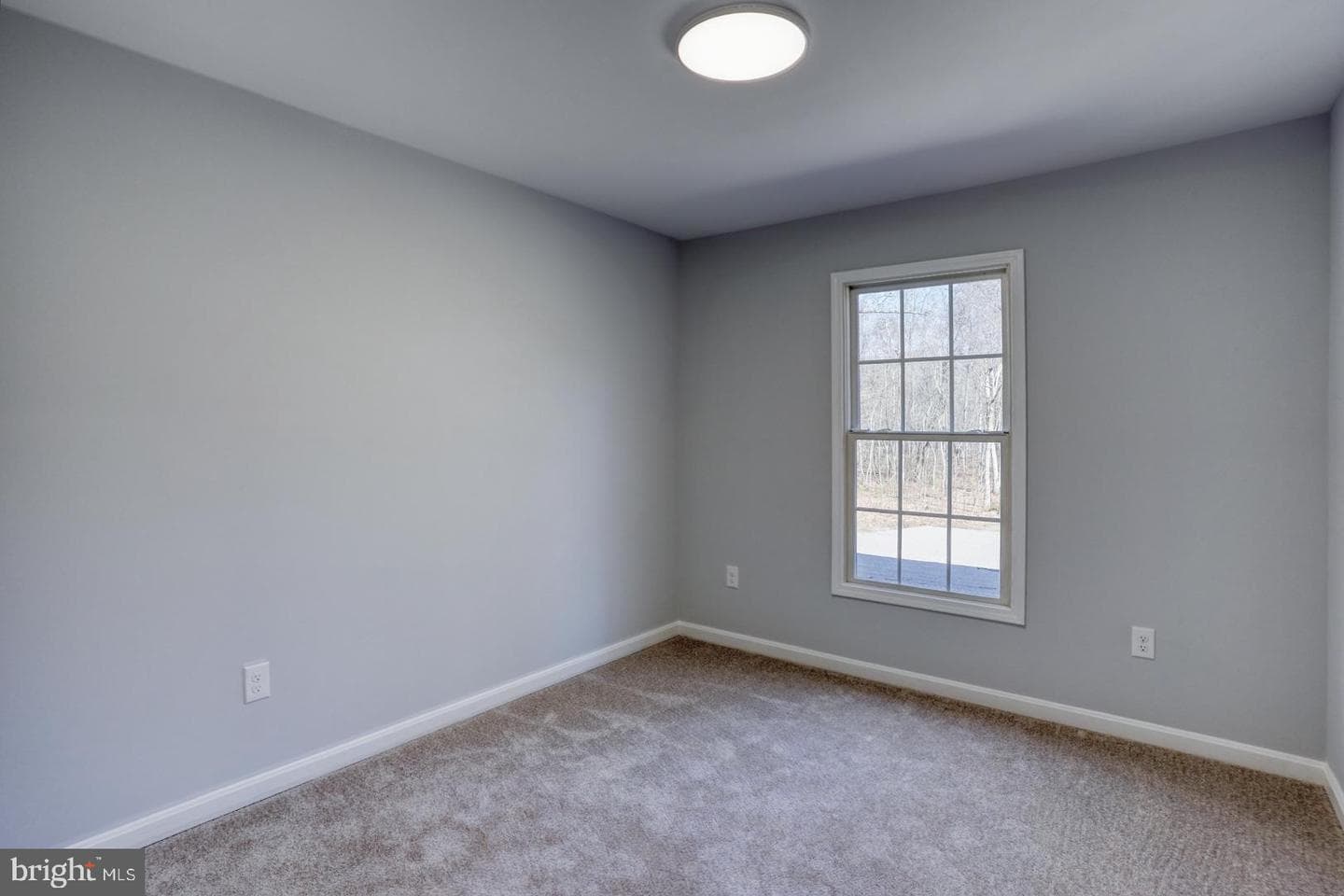 25833 Spring Branch Drive photo 41