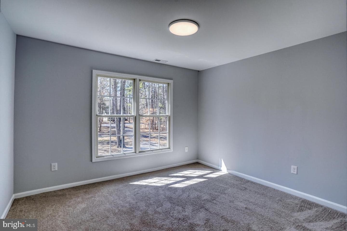 25833 Spring Branch Drive photo 43