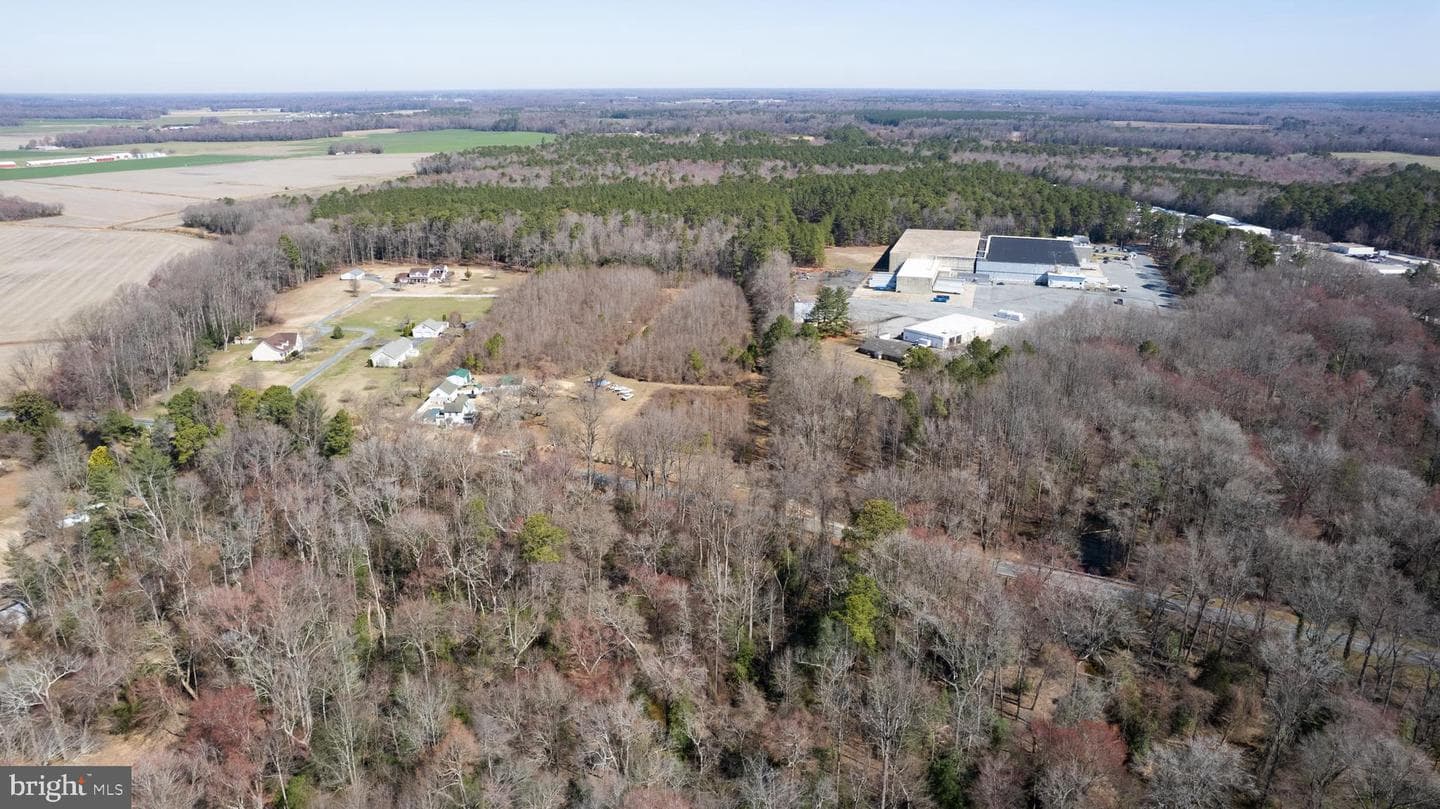 3871 Laurel Grove Road photo 2
