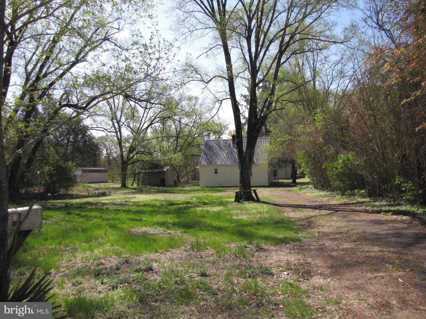 213 Central Avenue photo 10