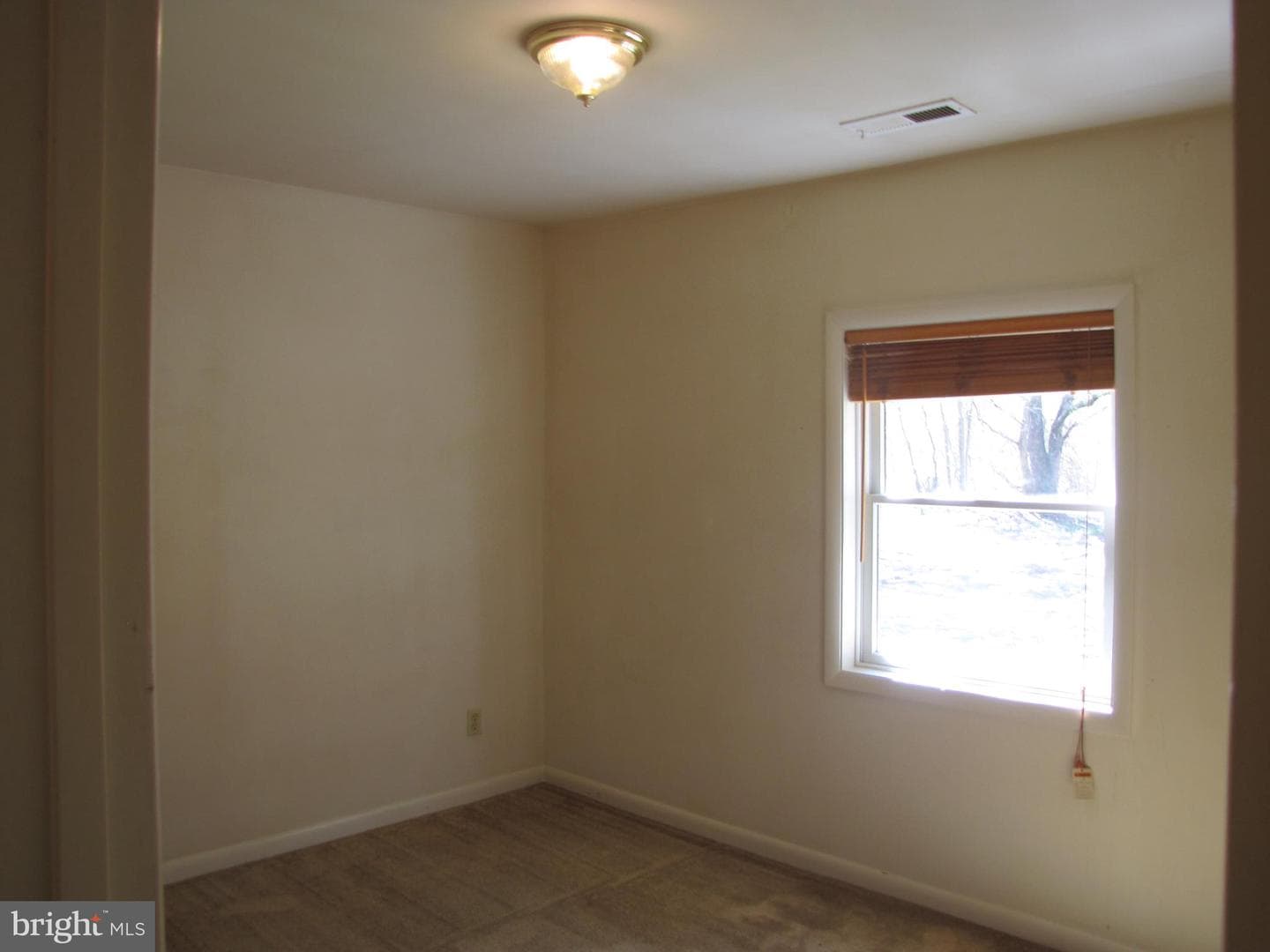 213 Central Avenue photo 17