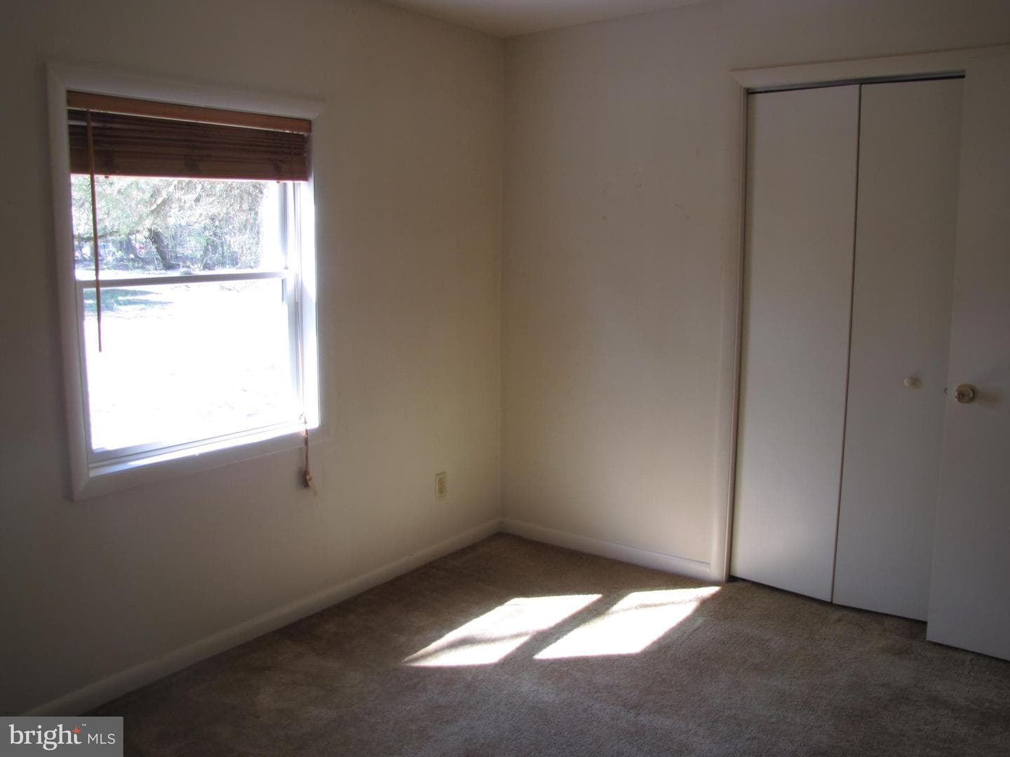 213 Central Avenue photo 19