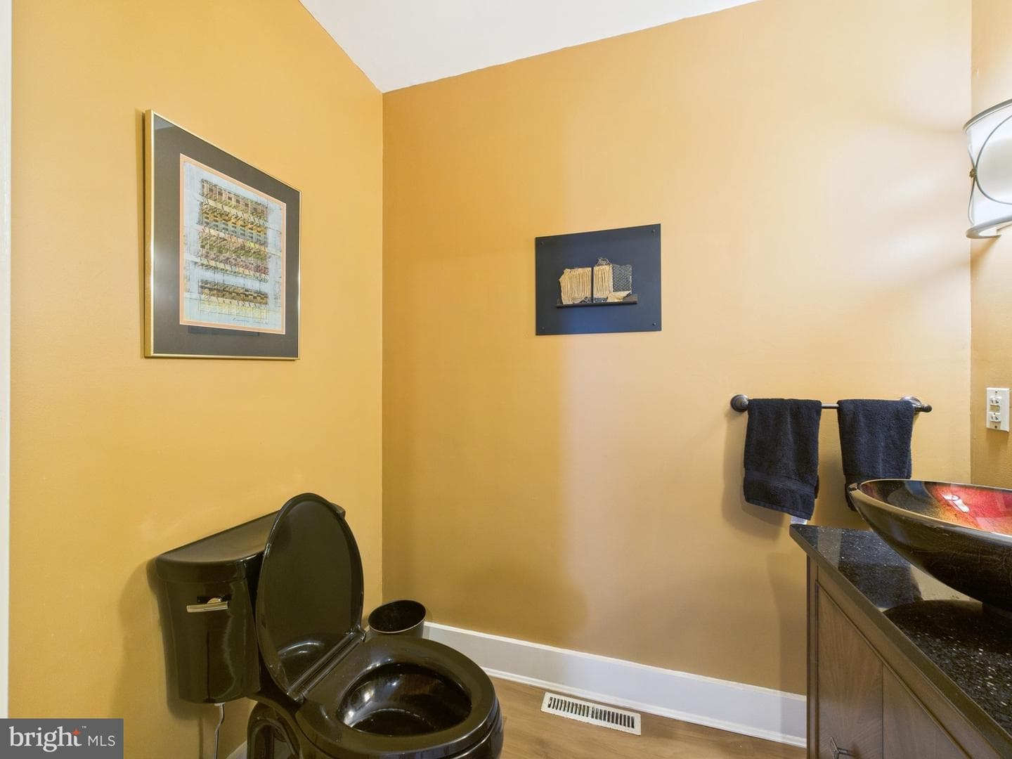 8816 Dorothy Lane photo 54