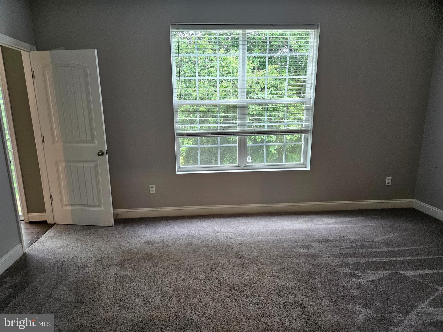 1206 Trice Meadows Circle photo 9