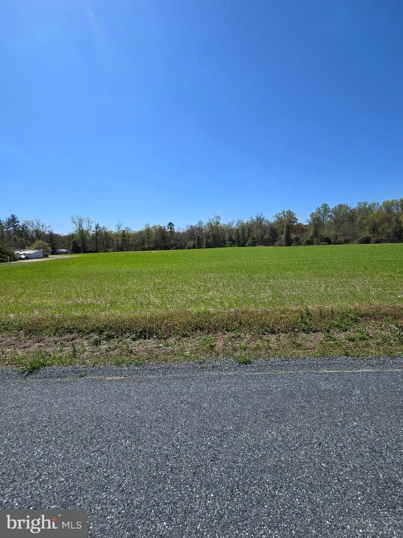 3880 Laurel Grove Road photo 7