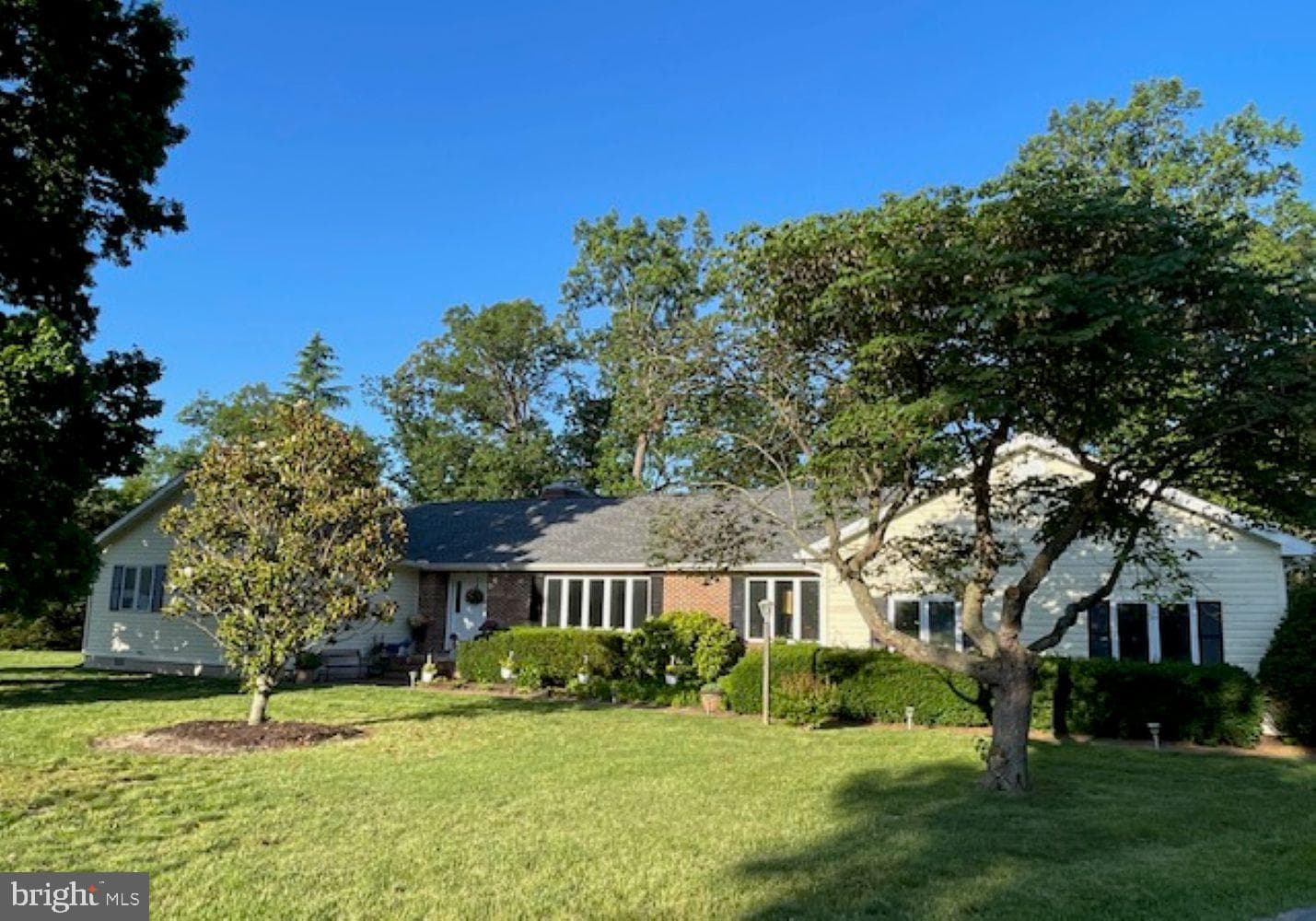 25129 Adams Landing Road photo 3