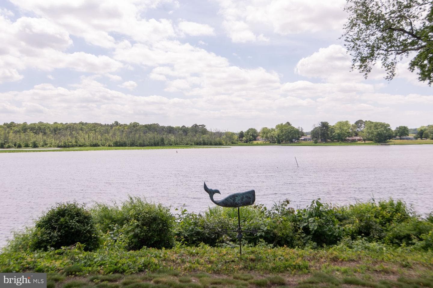 25129 Adams Landing Road photo 67