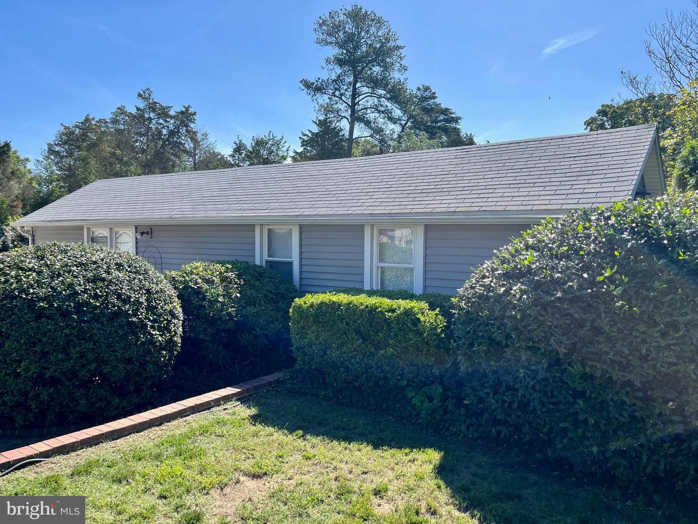 23274 Holly Park Drive photo 49