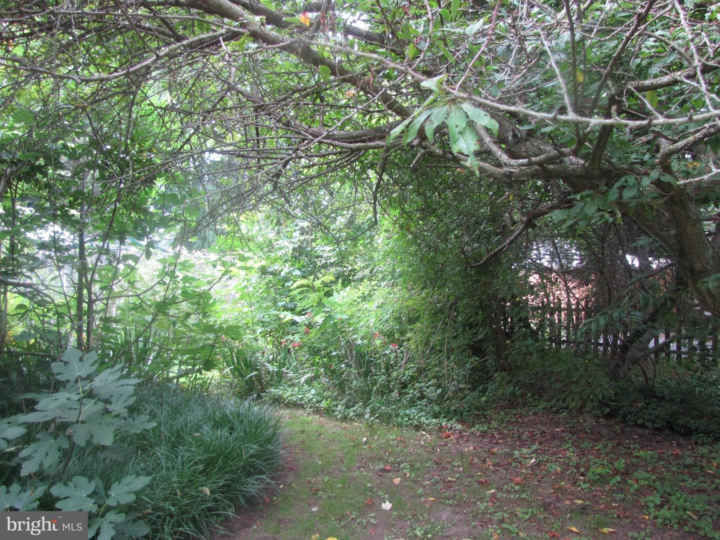 148 Main Street photo 43