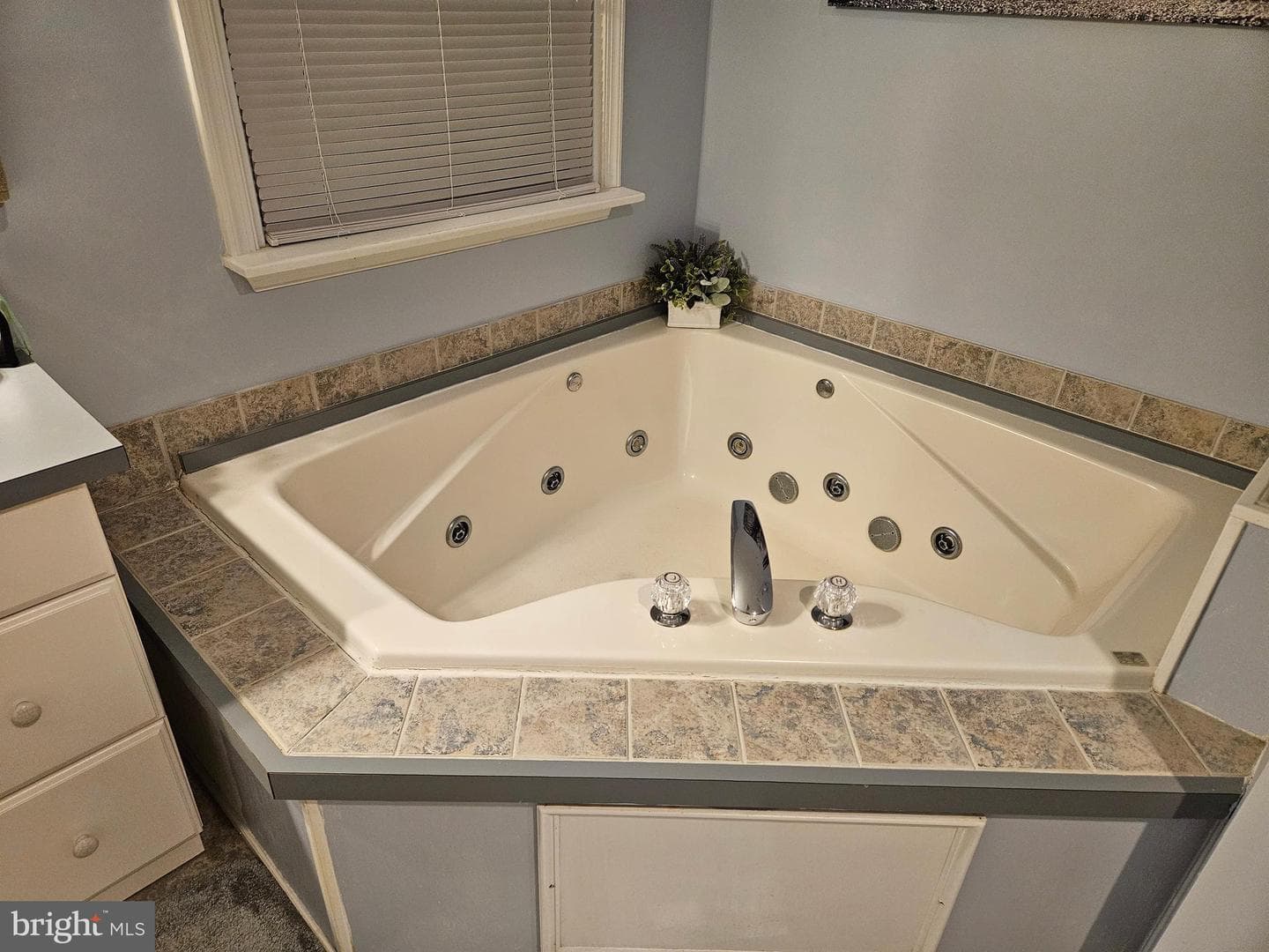 24324 Asbury Drive photo 24