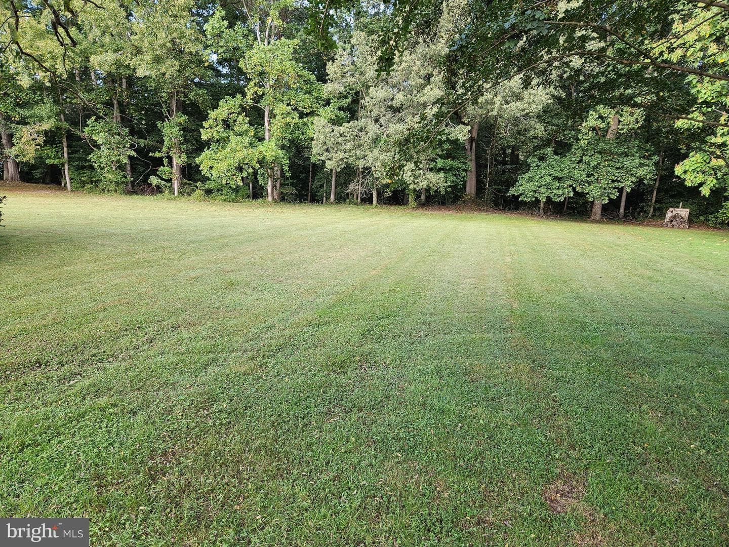 24324 Asbury Drive photo 44