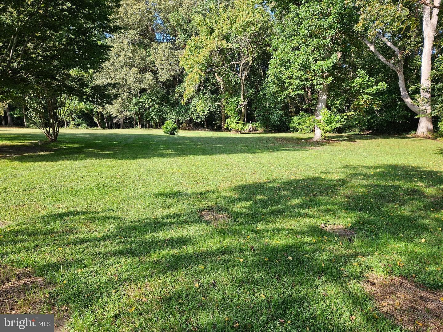 24324 Asbury Drive photo 48