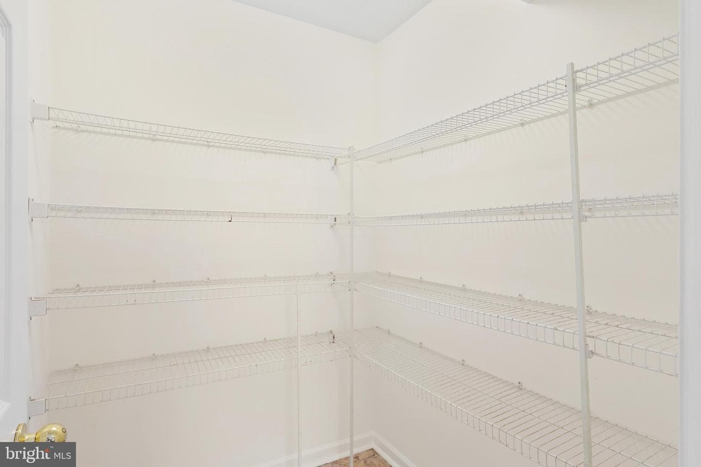 1612 Cattail Commons Way photo 20