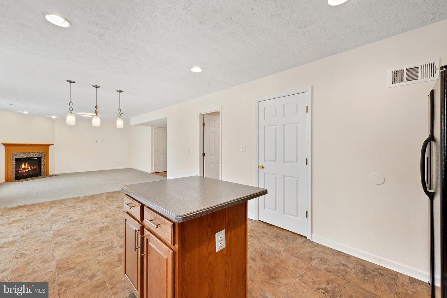 1612 Cattail Commons Way photo 23