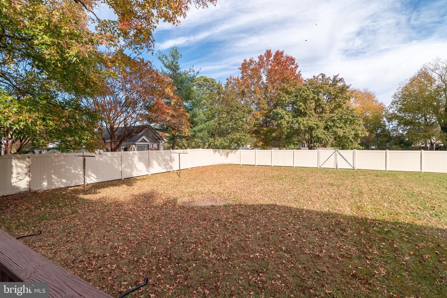 206 Charles Street photo 32