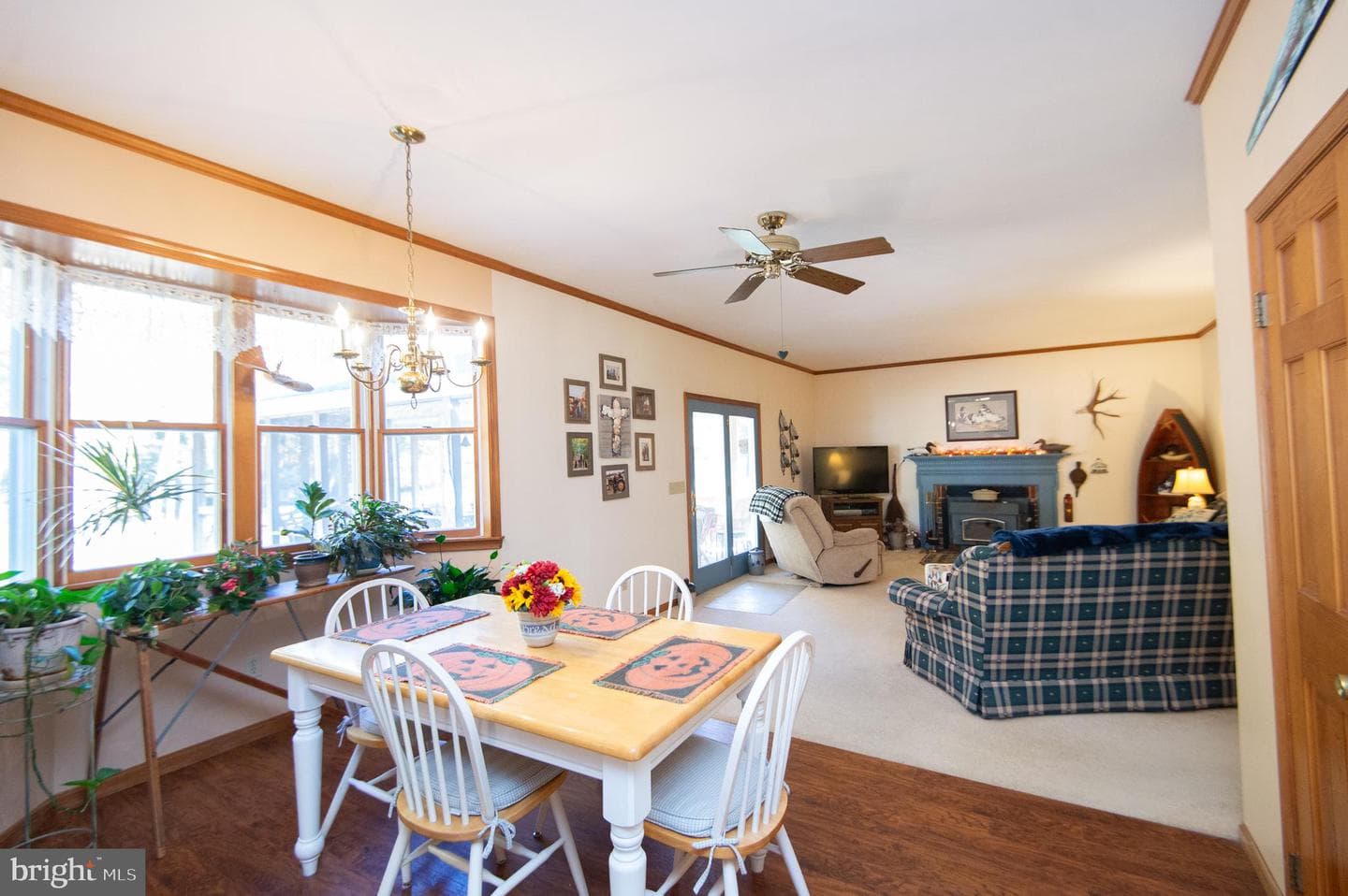 24276 Asbury Drive photo 19