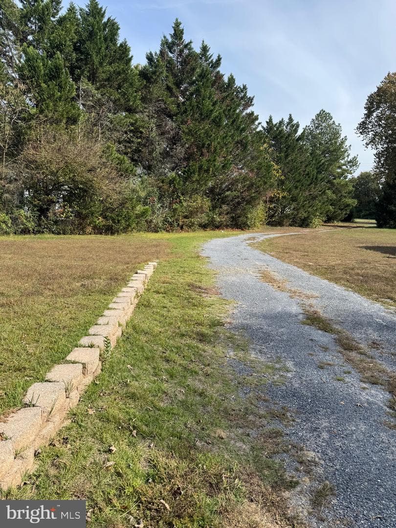 115 Boyce Mill Road photo 23