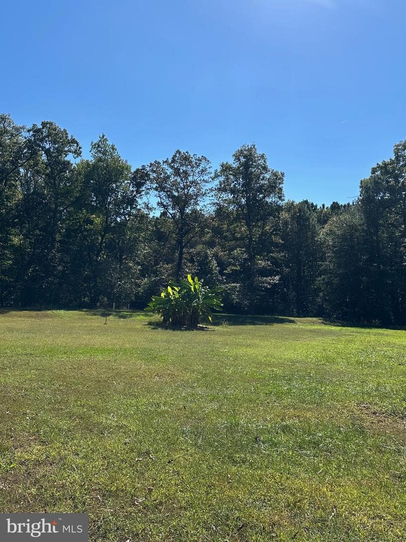 23629 Willow Pond Road photo 8